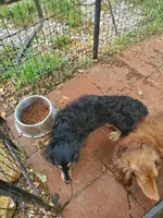 processed/36457951-74cc-42c8-b7e5-90d0cf01485e/listing/f6bac1c8-8241-478c-8640-ffcd409dec46/e4ebfda4-5dd3-435c-8b42-f6010010082d