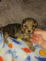 processed/364b6d19-eed9-4f49-af7e-75fdfd6049c1/listing/4ef6f4c7-d200-457a-a8e6-21daff8cf763/1716e034-7008-4ecb-87c7-8679321a9cf9