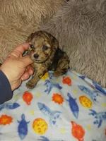 processed/364b6d19-eed9-4f49-af7e-75fdfd6049c1/listing/4ef6f4c7-d200-457a-a8e6-21daff8cf763/4f6a609c-bd21-410a-a5e7-08177e1bbcc5