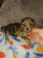 processed/364b6d19-eed9-4f49-af7e-75fdfd6049c1/listing/4ef6f4c7-d200-457a-a8e6-21daff8cf763/5c0b0b19-9a06-4533-a0f2-142f9f1dfbed