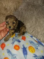 processed/364b6d19-eed9-4f49-af7e-75fdfd6049c1/listing/4ef6f4c7-d200-457a-a8e6-21daff8cf763/a54f4bb4-5d2c-461b-a257-2658a0d04ce5