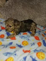 processed/364b6d19-eed9-4f49-af7e-75fdfd6049c1/listing/4ef6f4c7-d200-457a-a8e6-21daff8cf763/d94ce54e-a840-4e06-9ca4-e192842b0b83