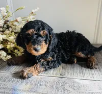 processed/3654768f-3d3a-4aa5-877e-56ebffc4b9e2/listing/14173f4f-46c1-4f17-9b12-df2ee8f80e5c/1a4a1f45-403a-4f71-a328-86c540dd0279