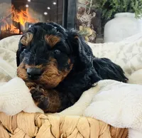 processed/3654768f-3d3a-4aa5-877e-56ebffc4b9e2/listing/14173f4f-46c1-4f17-9b12-df2ee8f80e5c/daef1395-1812-4cc1-9176-d3d15d0c4275