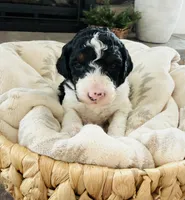 processed/3654768f-3d3a-4aa5-877e-56ebffc4b9e2/listing/31fa6831-d750-4fdc-80fa-bd12feb33d05/94468bdd-78ee-4826-85bd-93b2cad216a1