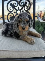 processed/3654768f-3d3a-4aa5-877e-56ebffc4b9e2/listing/3c86594d-60af-4b7c-bfb1-cbfffaa8a405/39872686-2eed-4f12-91c5-03660db24149