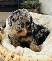 processed/3654768f-3d3a-4aa5-877e-56ebffc4b9e2/listing/3c86594d-60af-4b7c-bfb1-cbfffaa8a405/3b97b146-4da2-467e-9475-afaa13940991