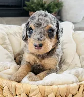 processed/3654768f-3d3a-4aa5-877e-56ebffc4b9e2/listing/7e800920-762f-4291-bd57-616ac7f6269f/1353a67a-b795-49a9-9541-441f43a5ce21