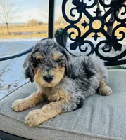 processed/3654768f-3d3a-4aa5-877e-56ebffc4b9e2/listing/7e800920-762f-4291-bd57-616ac7f6269f/e7481fca-91a5-45cf-b143-c90352af5c0e