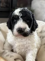 processed/3654768f-3d3a-4aa5-877e-56ebffc4b9e2/listing/c4e3e29b-e80d-45c0-99fc-e6f5e15d4c58/753e1de8-f54b-4e4e-a72d-fd5cad77f5bb