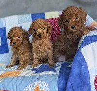 processed/365ff035-688d-4941-a346-5ed416509a4c/facility/6bd58abf-7c72-42f5-8e6b-3cf259553f76