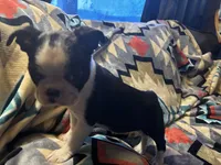 processed/36618284-e074-4db0-9356-d9ca2ab651d9/listing/12ac266f-543f-4d34-a9f3-5e271f733da6/397f4510-27ea-47dd-9737-d27438c18292