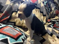 processed/36618284-e074-4db0-9356-d9ca2ab651d9/listing/12ac266f-543f-4d34-a9f3-5e271f733da6/3c1dd5b0-a043-4456-983f-a91c4dbb6196