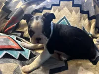 processed/36618284-e074-4db0-9356-d9ca2ab651d9/listing/12ac266f-543f-4d34-a9f3-5e271f733da6/64ba9576-e649-48c7-ae6b-9dabaf74ddf3