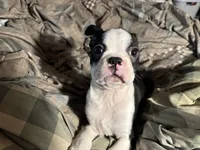 processed/36618284-e074-4db0-9356-d9ca2ab651d9/listing/12ac266f-543f-4d34-a9f3-5e271f733da6/747e8f15-95a1-4dfd-9325-89a407b3a983