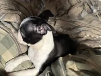 processed/36618284-e074-4db0-9356-d9ca2ab651d9/listing/12ac266f-543f-4d34-a9f3-5e271f733da6/bc96e70f-db88-445d-8850-75ba334aeccc