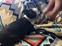 processed/36618284-e074-4db0-9356-d9ca2ab651d9/listing/12ac266f-543f-4d34-a9f3-5e271f733da6/ff1da519-b9ad-456a-80b7-9287cefa1107