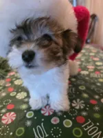 processed/366d7a18-9ba1-4eb1-a6cf-a6546986229d/listing/9a3cfa7a-d862-442e-97dc-0dea081185f1/26fa9fb9-70a6-4475-b44e-e38d758957b5