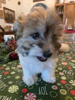 processed/366d7a18-9ba1-4eb1-a6cf-a6546986229d/listing/9a3cfa7a-d862-442e-97dc-0dea081185f1/2a25c4a1-58b5-4b0e-82b0-0c206b561fbd