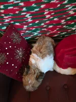 processed/366d7a18-9ba1-4eb1-a6cf-a6546986229d/listing/9a3cfa7a-d862-442e-97dc-0dea081185f1/78339395-e716-45a8-95b5-48e331475d0c