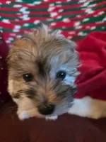 processed/366d7a18-9ba1-4eb1-a6cf-a6546986229d/listing/9a3cfa7a-d862-442e-97dc-0dea081185f1/8d83eb66-ed6f-4e11-b2ac-5c942275a81a