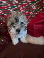 processed/366d7a18-9ba1-4eb1-a6cf-a6546986229d/listing/9a3cfa7a-d862-442e-97dc-0dea081185f1/a034f4fa-93c7-4eeb-83a9-e7531b20c330