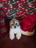 processed/366d7a18-9ba1-4eb1-a6cf-a6546986229d/listing/9a3cfa7a-d862-442e-97dc-0dea081185f1/c4fc5055-e1e5-458a-87da-457934e67d90