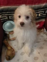 processed/366d7a18-9ba1-4eb1-a6cf-a6546986229d/listing/b0e8a16f-4ea8-4c64-a57d-9dc972d0916e/0b759988-33a7-4e76-b587-bd761a09ff90