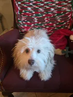 processed/366d7a18-9ba1-4eb1-a6cf-a6546986229d/listing/b0e8a16f-4ea8-4c64-a57d-9dc972d0916e/10fc8b9b-72a4-4e8d-9608-9ab9312003c0