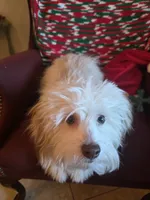 processed/366d7a18-9ba1-4eb1-a6cf-a6546986229d/listing/b0e8a16f-4ea8-4c64-a57d-9dc972d0916e/1d51b154-8f2a-4dfa-991b-e9c9b928e668