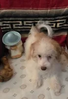 processed/366d7a18-9ba1-4eb1-a6cf-a6546986229d/listing/b0e8a16f-4ea8-4c64-a57d-9dc972d0916e/6e0b89ab-e4c6-4abf-ba4c-9543ad7b201d