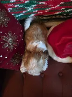 processed/366d7a18-9ba1-4eb1-a6cf-a6546986229d/listing/b420db6a-9f52-434a-b9e1-7996ef7e42f9/1869017f-5cce-4afc-81b3-8584e8dace93