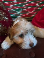 processed/366d7a18-9ba1-4eb1-a6cf-a6546986229d/listing/b420db6a-9f52-434a-b9e1-7996ef7e42f9/3e437e87-2b3f-4489-a21a-acb8d156844a