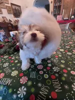 processed/366d7a18-9ba1-4eb1-a6cf-a6546986229d/listing/b420db6a-9f52-434a-b9e1-7996ef7e42f9/452ea429-7dba-4508-b754-adc36a774345