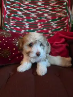 processed/366d7a18-9ba1-4eb1-a6cf-a6546986229d/listing/b420db6a-9f52-434a-b9e1-7996ef7e42f9/4a8a84d1-c2b1-4440-91c6-82efe24bd922