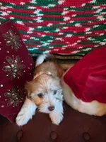 processed/366d7a18-9ba1-4eb1-a6cf-a6546986229d/listing/b420db6a-9f52-434a-b9e1-7996ef7e42f9/577ca1cb-7f27-4b95-8f50-71f02b0b86f6