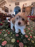 processed/366d7a18-9ba1-4eb1-a6cf-a6546986229d/listing/b420db6a-9f52-434a-b9e1-7996ef7e42f9/5ce54ef8-0e4c-4db0-ae72-f350115bd06a