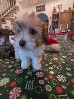 processed/366d7a18-9ba1-4eb1-a6cf-a6546986229d/listing/b420db6a-9f52-434a-b9e1-7996ef7e42f9/6de8c469-e9de-4cb8-b001-eb10488b60e6