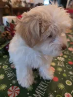 processed/366d7a18-9ba1-4eb1-a6cf-a6546986229d/listing/e817a91f-174b-4624-a96d-70b63aaa547e/2155c8a2-0803-4c1d-872d-85f1f5cd8f0b