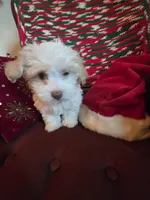 processed/366d7a18-9ba1-4eb1-a6cf-a6546986229d/listing/e817a91f-174b-4624-a96d-70b63aaa547e/6292a800-f74a-4193-9b80-2abcb4c1a847