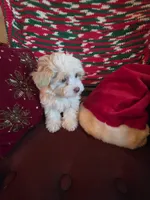 processed/366d7a18-9ba1-4eb1-a6cf-a6546986229d/listing/e817a91f-174b-4624-a96d-70b63aaa547e/73cd45bf-f6ed-45a4-a576-8db2d4b4d07f