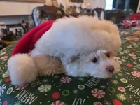 processed/366d7a18-9ba1-4eb1-a6cf-a6546986229d/listing/e817a91f-174b-4624-a96d-70b63aaa547e/861b8878-b99e-411b-81c5-82a8cc08b81b