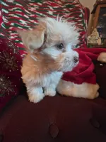 processed/366d7a18-9ba1-4eb1-a6cf-a6546986229d/listing/e817a91f-174b-4624-a96d-70b63aaa547e/d8df7577-8db9-4325-9748-a3032d72643f