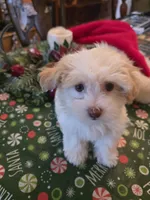 processed/366d7a18-9ba1-4eb1-a6cf-a6546986229d/listing/e817a91f-174b-4624-a96d-70b63aaa547e/de3661c8-42aa-4b1e-8f8f-7913790658e2