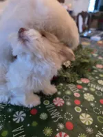 processed/366d7a18-9ba1-4eb1-a6cf-a6546986229d/listing/e817a91f-174b-4624-a96d-70b63aaa547e/e132b596-b587-41a0-a96a-08ca38ffd17e