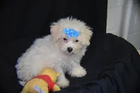 processed/3672ed36-c282-43d8-a168-74a97e52a660/listing/4495bfd4-d012-4148-9ad5-892967d45568/0137ca2c-b326-4c45-abad-d6ad1a0d0d49