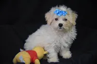 processed/3672ed36-c282-43d8-a168-74a97e52a660/listing/4495bfd4-d012-4148-9ad5-892967d45568/11bc85ea-04ea-4796-913b-79c48e9972e2