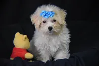 processed/3672ed36-c282-43d8-a168-74a97e52a660/listing/4495bfd4-d012-4148-9ad5-892967d45568/33f11b67-ff21-4f19-a2d2-413714c67191