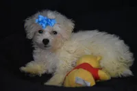 processed/3672ed36-c282-43d8-a168-74a97e52a660/listing/4495bfd4-d012-4148-9ad5-892967d45568/3b58f5b1-317f-4999-886a-3a88b01c9534