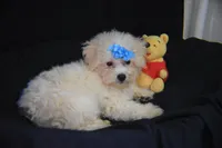 processed/3672ed36-c282-43d8-a168-74a97e52a660/listing/4495bfd4-d012-4148-9ad5-892967d45568/5d650f9a-f3e3-41b6-8f83-473db58fec41